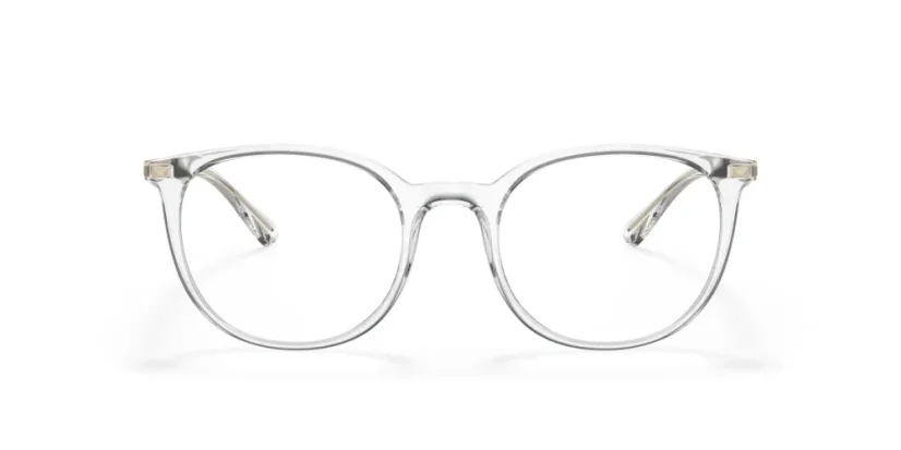 EMPORIO ARMANI EA3168 5371