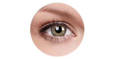 ColourVUE Trublends Hazel