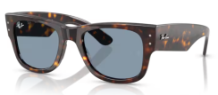 Ray-Ban MEGA WAYFARER RB 0840S 902/56