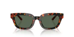 EMPORIO ARMANI EA4233U 618271