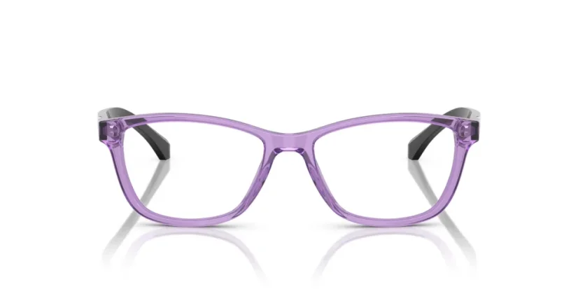 EMPORIO ARMANI EA3099 6197