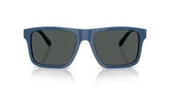 EMPORIO ARMANI EA4232 617587