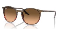 Ray-Ban RB 2204 13953B