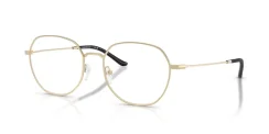 EMPORIO ARMANI EA1174D 3013