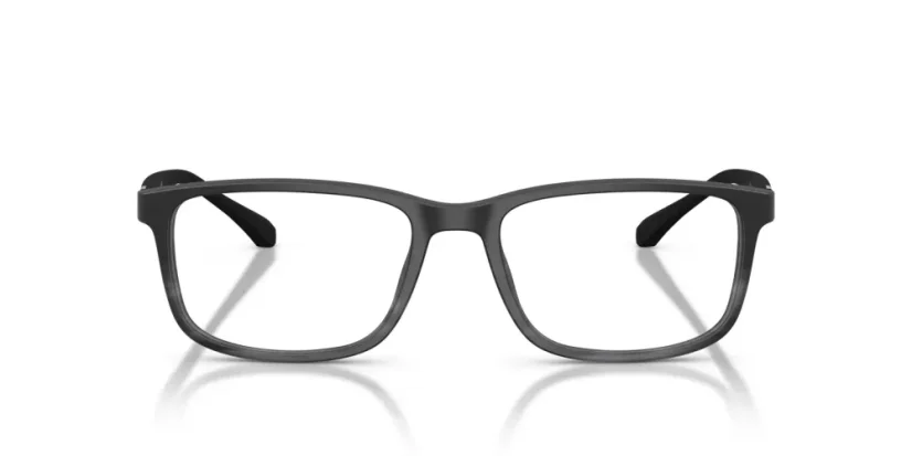 EMPORIO ARMANI EA3098 5566