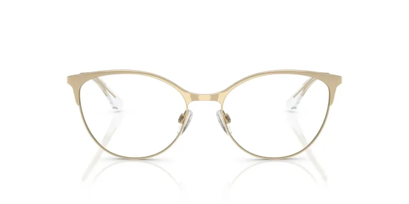 EMPORIO ARMANI EA1087 3013