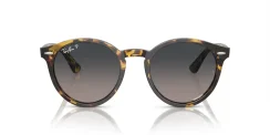 RAY-BAN RB7680S LARRY 1332GL