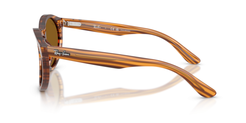 Ray-Ban RB R0505S 679183 reverse
