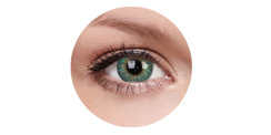 ColourVUE  Trublends Turquoise