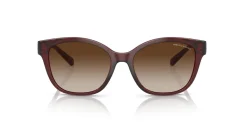 ARMANI EXCHANGE AX4127S 824113