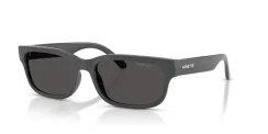 ARNETTE AN4363 DEFYER 284187