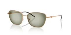 EMPORIO ARMANI EA2170 342713