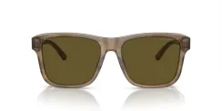 EMPORIO ARMANI EA4208 605573