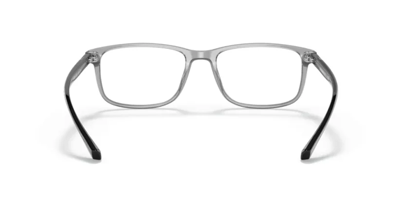 EMPORIO ARMANI EA3098 5029