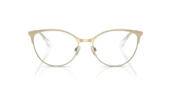 EMPORIO ARMANI EA1087 3013