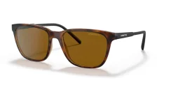 ARNETTE AN4291 CORTEX 277083