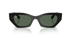 RAY-BAN 0RB4430 667771