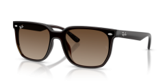 Ray-Ban RB 4466D 714/13