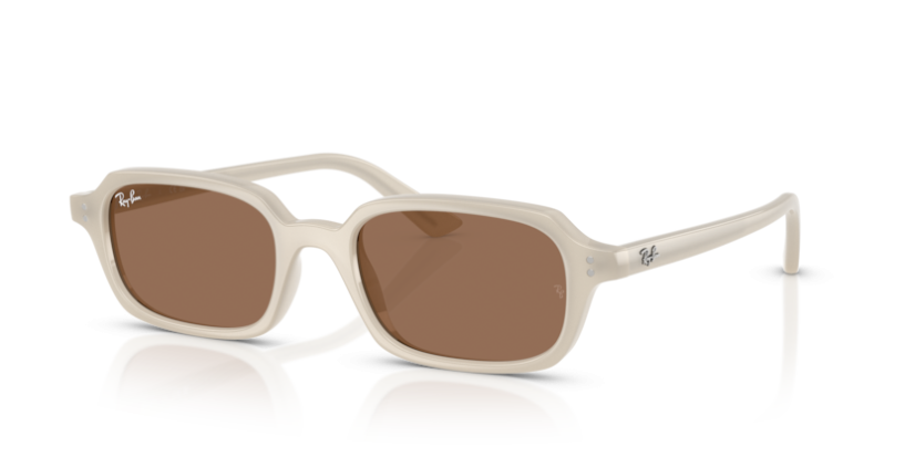 Ray-Ban RB 4455 680873 Zuri