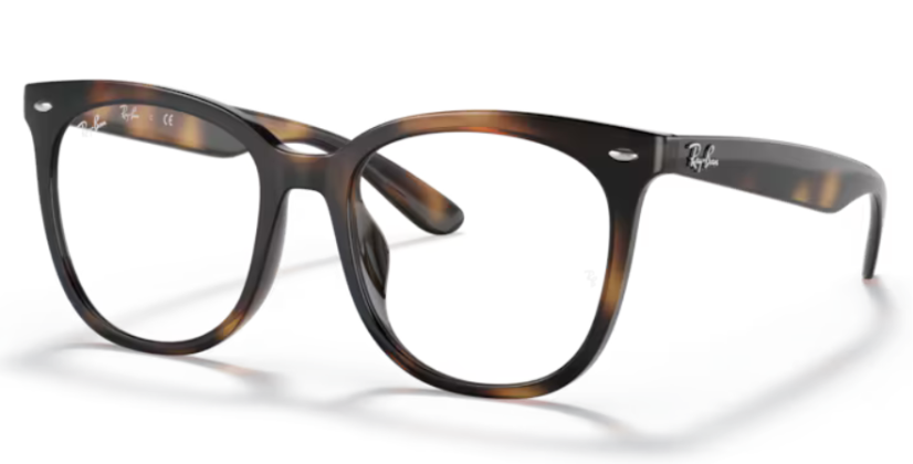 Ray-Ban RX4379VD 2012