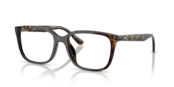 Ray-Ban RX7248D 2012