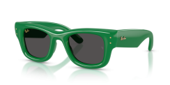 Ray-Ban RB 4940 683487 Wayfarer puffer