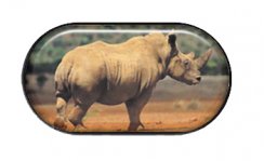 pouzdro se zrcátkem-nosorožec