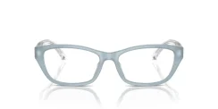 EMPORIO ARMANI EA3238U 6096