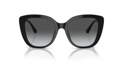 EMPORIO ARMANI EA4214U 50178G