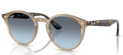 Ray-Ban RB 2180 6788V1