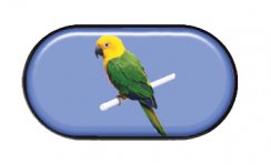 pouzdro se zrcátkem-papoušek