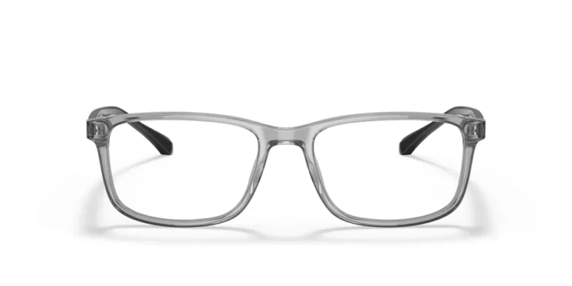 EMPORIO ARMANI EA3098 5029