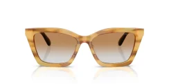 EMPORIO ARMANI EA4250U 62692Q