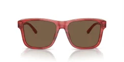 EMPORIO ARMANI EA4208 605373