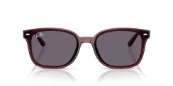 RAY-BAN RB4461D 659373