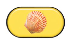 pouzdro se zrcátkem-škeble