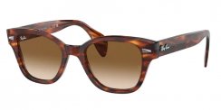 Ray-Ban RB 0880S 954/51