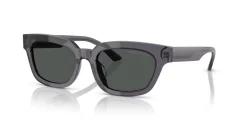 EMPORIO ARMANI EA4233U 610687
