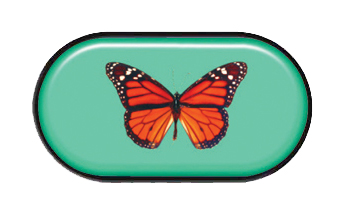 pouzdro se zrcátkem-motýl