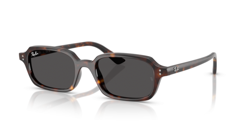 Ray-Ban RB 4455 667781 Zuri