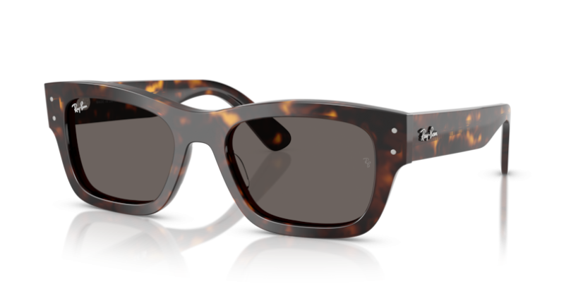 Ray-Ban RB 7683S 902/B1 Joseph