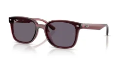 RAY-BAN RB4461D 659373