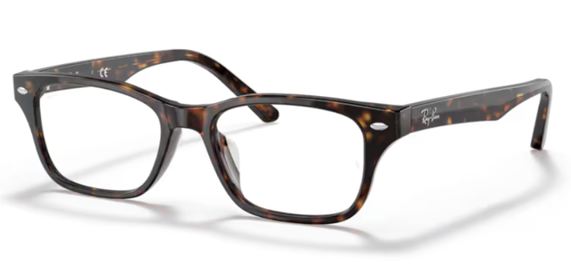 Ray-Ban RX5345D 2012