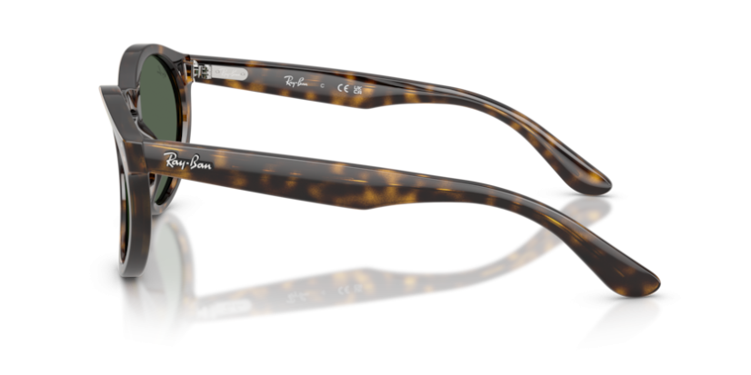 Ray-Ban RB R0505S 6790VR reverse