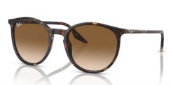 Ray-Ban RB 2204 902/51