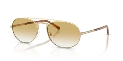 EMPORIO ARMANI EA2171 30022Q