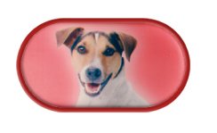 pouzdro se zrcátkem-jack russel terier