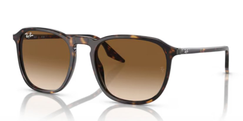 Ray-Ban RB 2203 902/51