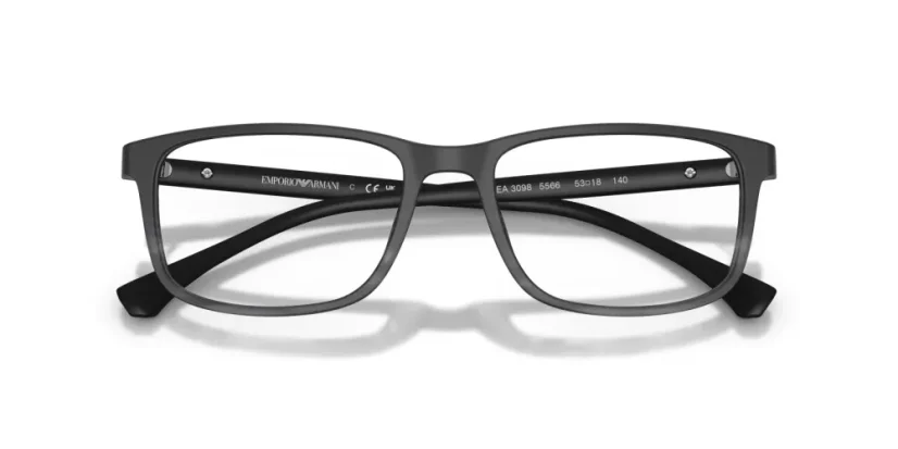 EMPORIO ARMANI EA3098 5566