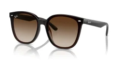 RAY-BAN RB4423D 714/13